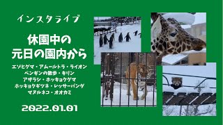 2022年1月1日インスタライブ 休園中の元日の園内から