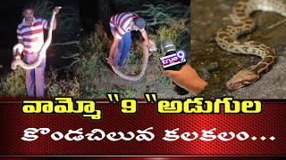 true9newsll వామ్మో!!! 9 అడుగుల భారీ కొండచిలువ కలకలం //ప్రకాశం జిల్లా త్రిపురాంతకం .. పట్టణంలోని