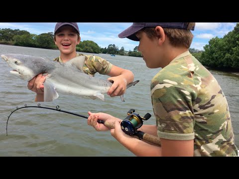 Shark Fishing Logan River - Stabbed By Worlds DEADLIEST Fish Shark Fishing Logan River - Stabbed By Worlds DEADLIEST Fish