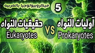 الفرق بين خلايا بدائيات النواه و حقيقيات النواه - شرح Difference between Prokaryotes and Eukaryotes