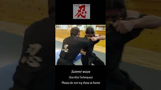 The Dojo Martial Arts Sacrifice Throw #8