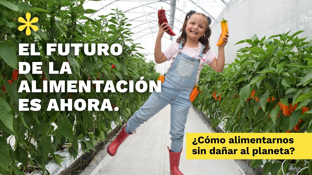 ⚠️ El FUTURO De La ALIMENTACIÓN Es AHORA: ¿Cómo Alimentarnos Sin Dañar ...