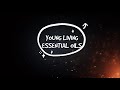 unboxing psk yl essential oils vlog 1 expat sisterstv