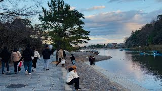 冬の京都嵐山🕊️ Winter walk in Arashiyama, Kyoto 2025年1月4日(土)