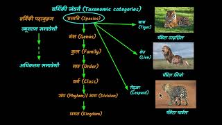 वर्गिकी (Taxonomy)