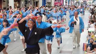 2024年8月10日　高知よさこい祭り本番一日目　帯屋町共演場　高知りょうまライオンズクラブ龍馬連