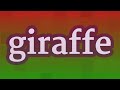 GIRAFFE pronunciation • How to pronounce GIRAFFE