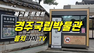 경주국립박물관트로트wideup