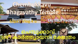 Chembukkavu Bhagavathy Temple / ചെമ്പുക്കാവ് ശ്രീ കാർത്ത്യായനി ക്ഷേത്രം / Thrissur Pooram