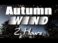 Autumn Wind Sounds : 2 Hour Long Relaxing Nature Sounds for Sleep