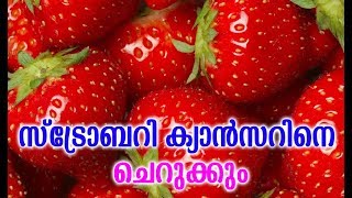 സ്ട്രോബറി ക്യാന്‍സറിനെ വേരോടെ നശിപ്പിക്കും | Top Health Benefits Of Strawberries