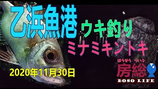 千葉県南房総市 乙浜魚港 ミナミキントキ ウキ釣り 2020/11/30 房総ライフ Vlog ep9