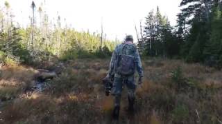 Chasing The Newfoundland Ghost (trailer): Bow Hunting Woodland Caribou with Mike Lutt