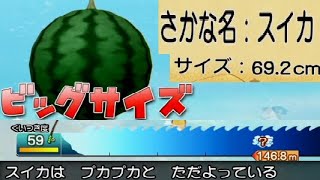 スイカ釣りおすすめしない理由【ドラクエ10オフライン】高レベル上げ魚コイン入手場所