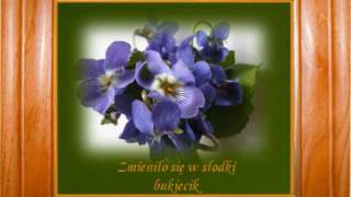 SŁODKIE FIOŁKI SWEET VIOLETS SŁAWA  PRZYBYLSKA.wmv