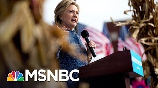 Computer Scientists Urge Hillary Clinton To Ask For Recount | Andrea Mitchell | MSNBC