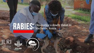 Rabies: Eliminating a deadly threat in Machakos, Kenya