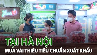 Vải thiều tiêu chuẩn xuất khẩu được bán tại Hà Nội| VTC14