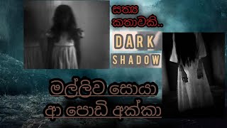 මල්ලිව සොයා ආ පොඩි අක්කා............සත්‍ය කතාවකි..... Holman katha..