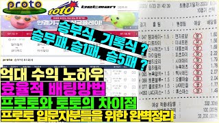 스포츠토토 프로토 입문자를 위한 기초 상식 및 배팅 방법과 억대 수익의 노하우 알려드립니다 [프로토강의 입문자편]