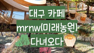 [카페투어] 대구 핫플 mrnw(미래농원)에 다녀왔습니다 l 콜리브이로그