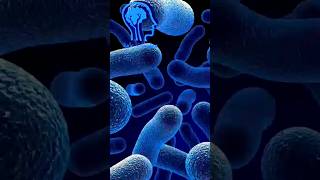 معلومه عن البكتيريا في جسم الانسان #معلومة_على_السريع #معلومات_ثقافية_علمية #bacteria