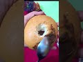 2 minute donut recipe #everythingwithme #shorts #trend #youtubeshorts #youtubeshorts #donut