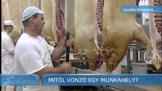 Szegedi Hírek - A legjobb munkáltatók közé került a Pick - 2017.04.12.