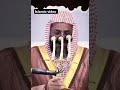 Sheikh Saud Al Shuraim Crying During Khutbah Jumah