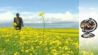 Is China's New Railway Through Tibet a Move to Tighten Control? (2002)