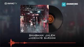 Shabnam Jaleh - Jadehaye Barooni OFFICIAL TRACK | شبنم ژاله - جاده های بارونی