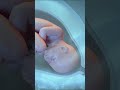 Amazing Natural Child Birth in 3D |  Giving Birth to a Baby #pregnancy #baby #animation