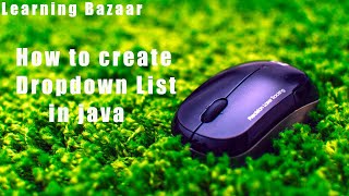 How to Create Simple GUI Drop down List | Java Swing | Learning Bazaar