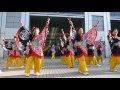 遠州鳴子浪漫 （ 2016ドリームよさこい・フジテレビ会場）