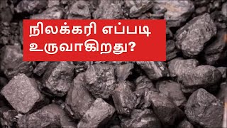 நிலக்கரியை எவ்வாறு உருவாக்குவது | how do coals form in Tamil || How do we get coals in Tamil