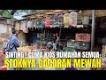 GILA ! BURUNG GACORAN MEWAH SEMUA DI JUAL FULLSET GRATIS SANGKAR ! EMANG GAK TEKOR MAS BRO ?