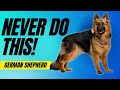 7 Things You Must NEVER Do To Your German Shepherd