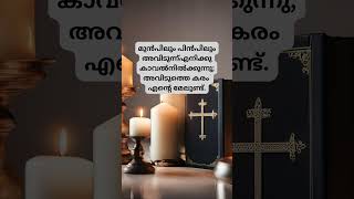 അനുദിന ബൈബിൾ വചനം | സങ്കീർത്തനങ്ങൾ 139 : 5 #bible #malayalam #youtubeshorts #shortsfeed