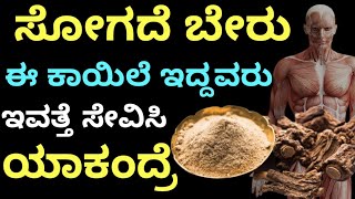 ಸೊಗದೆ ಬೇರುಈ ಕಾಯಿಲೆ ಇದ್ದವರು ಇವತ್ತೆ ಸೇವಿಸಿ ಯಾಕೆಂದರೆ | Kannada health tips