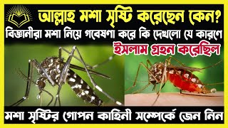 আল্লাহ মশা সৃষ্টি করেছেন কেন?