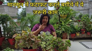 मॉनसून में जल्दी से करले गार्डन में ये ज़रूरी काम | Monsoon Gardening Works | Fun Gardening