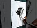 Rose drawing | Easy Rose Sketching #art #trending #ytshorts #rose