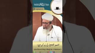 Ash-Hurul Hajj (Hajj Ke 3 Mahine!) | Shaykh Talha Qasmi Naqshbandi DB | Short #153