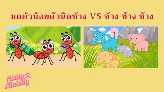 มดตัวน้อยตัวนิดช้าง  VS ช้าง ช้าง ช้าง | #เพลงเด็กเจ้าตัวเล็ก - Kiddy Melody