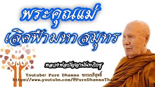 ธรรมบริสุทธิ์: 0916 พระคุณแม่เลิศฟ้ามหาสมุทร หลวงพ่อปัญญานันทภิกขุ