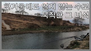 한겨울에도 얼지 않는 수로 /붕어낚시 묵직한 그 녀석