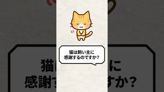 Q:猫は飼い主に感謝するのですか？