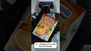 🍊 What is in orange juice? 🧃 Is it safe to drink? 🔬 #microscope #underthemicroscope