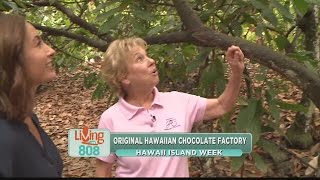 Living808: Original Hawaiian Chocolate Factory