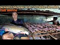 FULL MOVIE: survival and spearfishing 5 hari bermalam di hulu sungai berburu ikan mahser